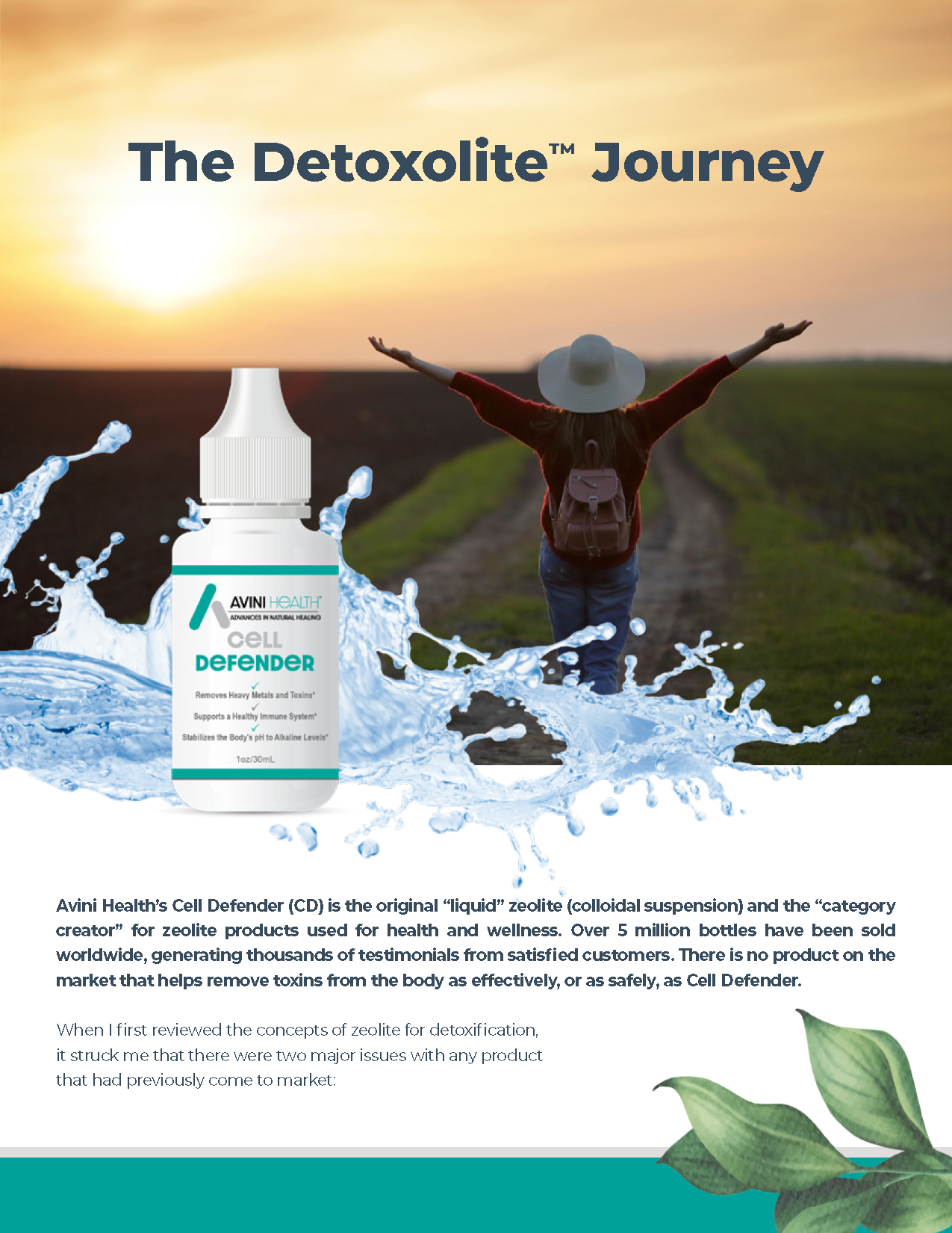 The Detoxolite™ Journey